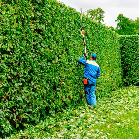 Profesional de CMS Multiservicios en trabajos de jardinería